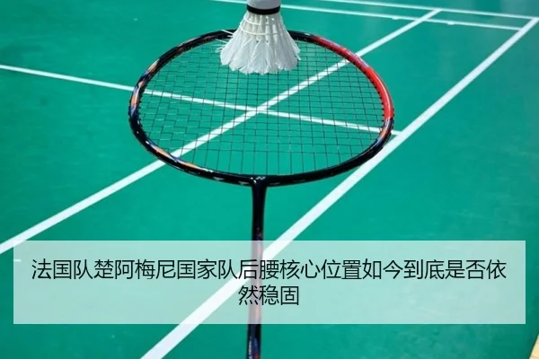 法国队楚阿梅尼国家队后腰核心位置如今到底是否依然稳固