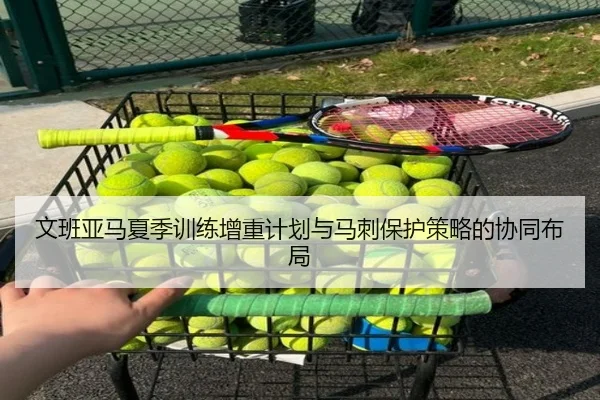 文班亚马夏季训练增重计划与马刺保护策略的协同布局